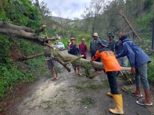 Babinsa Selo Evakuasi Pohon Tumbang Bersama Warga Tarubatang