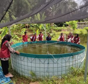 Sinergi Budidaya Ikan Mujaer dan Silaturahmi: Inovasi Pemberdayaan Ekonomi Bersama Mahasiswa KKN Universitas Peradaban