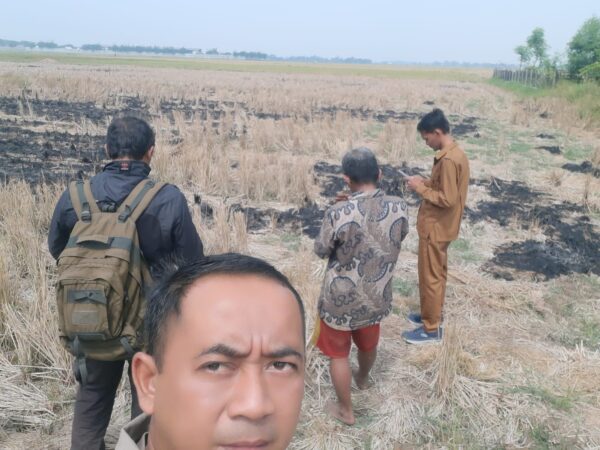 Polsek Kronjo Siapkan 5 Hektar Lahan Tanam Jagung