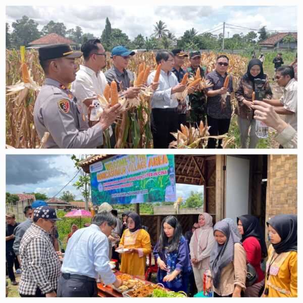 Kebun Jagung PKP Binaan Polres Serang Dikunjungi Delegasi Tiongkok